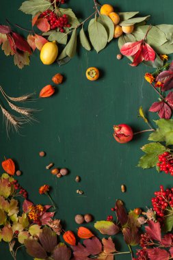 Meyve fındık yeşil arka plan üzerinde kırmızı ve sarı sonbahar yaprakları