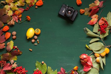 Meyve fındık yeşil arka plan üzerinde kırmızı ve sarı sonbahar yaprakları