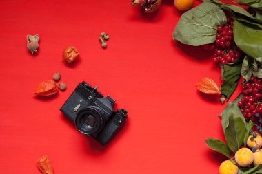 fındık meyve sonbahar arka plan kırmızı sarı yapraklar