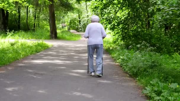 Grandma walks in the park with sticks for Nordic walking — Stock Video