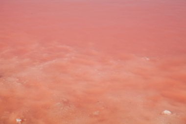 Tuzlu su Gölü pembe arka plan z pembe x