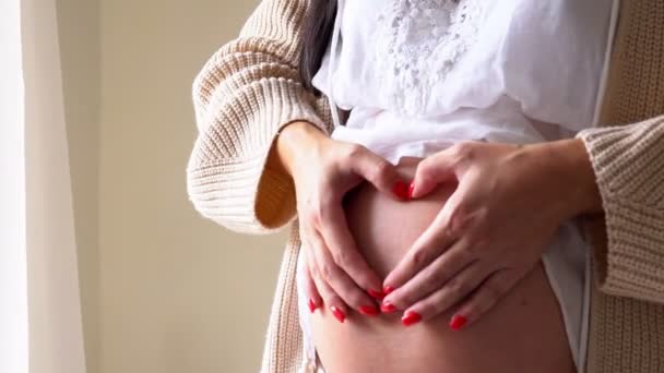 Barriga de mulheres grávidas antes do parto do amor de bebê — Vídeo de Stock