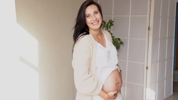 Bauch von Schwangeren vor der Geburt der Babyliebe — Stockvideo