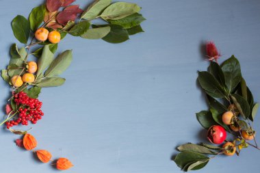 Sonbahar sarı meyve fındık masada bırakır.