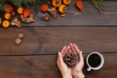 Eller Noel yılbaşı ağacı hediye ev kış