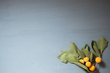 sonbahar yaprakları sarı ve kırmızı ve gri arka plan üzerinde meyve