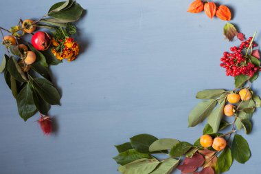 sonbahar yaprakları sarı ve kırmızı ve gri arka plan üzerinde meyve