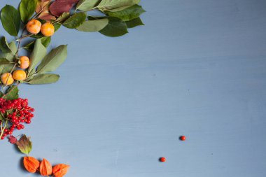 sonbahar yaprakları sarı ve kırmızı ve gri arka plan üzerinde meyve