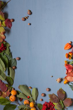 sonbahar yaprakları sarı ve kırmızı ve gri arka plan üzerinde meyve