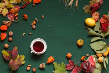 sonbahar yaprakları sarı ve kırmızı ve yeşil bir arka plan üzerinde meyve