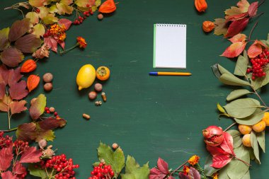 sonbahar yaprakları sarı ve kırmızı ve yeşil bir arka plan üzerinde meyve
