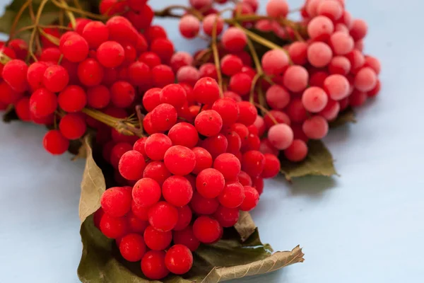 Jul bakgrund juldekoration gåvor leksaker snöflingor — Stockfoto