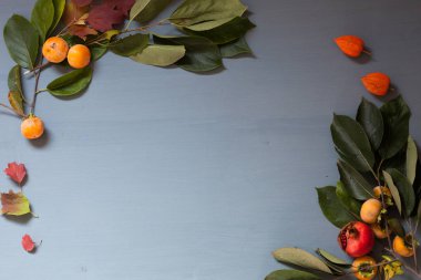 kırmızı ve sarı sonbahar arka fındık meyve yaprakları