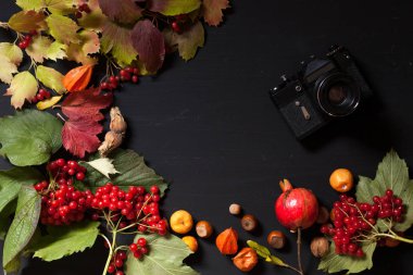 kırmızı ve sarı sonbahar arka fındık meyve yaprakları