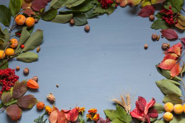 kırmızı ve sarı sonbahar arka fındık meyve yaprakları