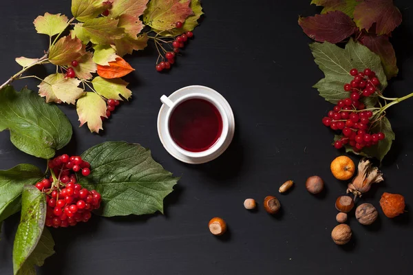 Fincan çay sonbahar arka plan meyve fındık bırakır.