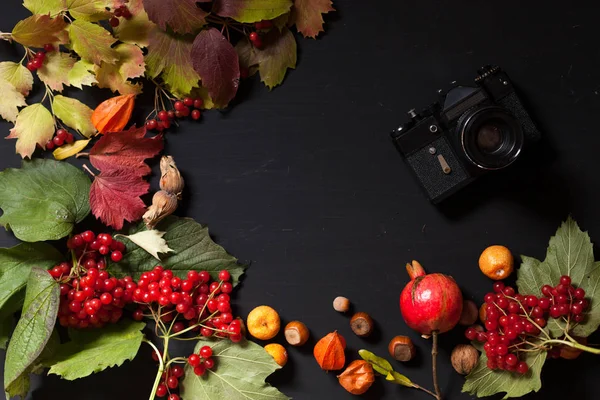 kırmızı ve sarı sonbahar arka fındık meyve yaprakları