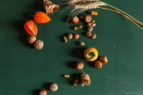 kırmızı ve sarı sonbahar arka fındık meyve yaprakları