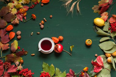 kırmızı ve sarı sonbahar arka fındık meyve yaprakları