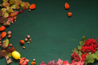 kırmızı ve sarı sonbahar arka fındık meyve yaprakları