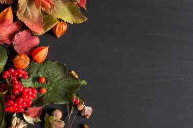 kırmızı ve sarı sonbahar arka fındık meyve yaprakları