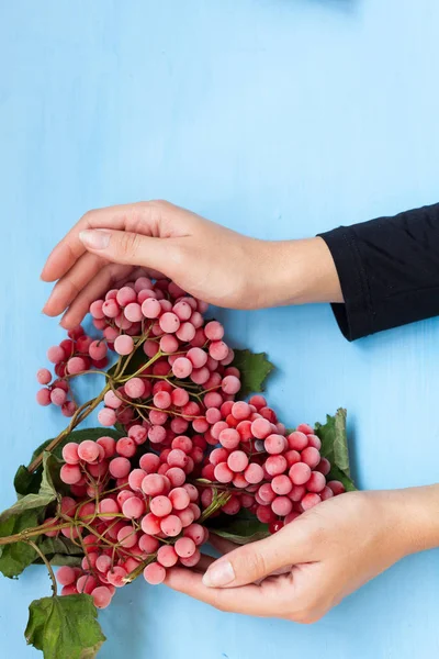 Vinter jul bakgrund julklappar träd nötter nyår — Stockfoto