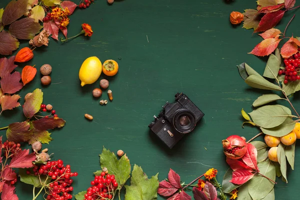 sonbahar yaprakları sarı ve kırmızı ahşap arka plan eski fotoğraf makinesi