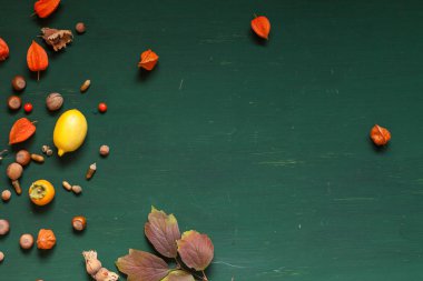 Sonbahar fındık yeşil bir arka plan üzerinde narenciye