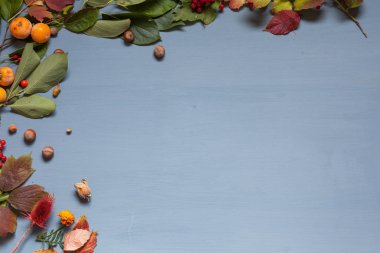 çilek meyve somun sonbahar arka plan sarı ve kırmızı yaprakları