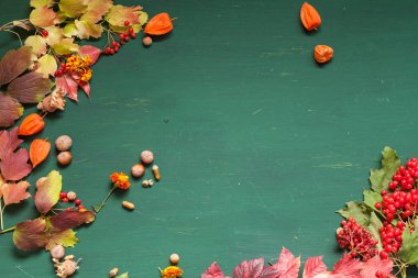 çilek meyve somun sonbahar arka plan sarı ve kırmızı yaprakları