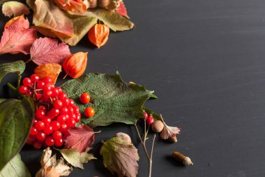 çilek meyve somun sonbahar arka plan sarı ve kırmızı yaprakları