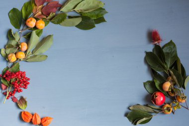 çilek meyve somun sonbahar arka plan sarı ve kırmızı yaprakları