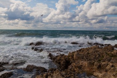 taş Beach okyanus dalgası gökyüzü bulutlu