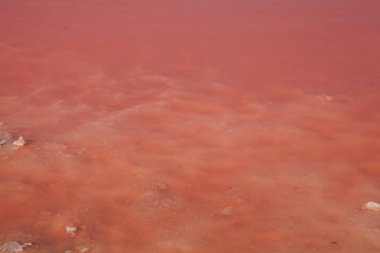 gül suyu Tuz Gölü Manzara Doğa arka plan