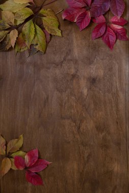 sonbahar arka plan sarı ve kırmızı sonbahar yaprakları