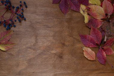 sonbahar arka plan sarı ve kırmızı sonbahar yaprakları