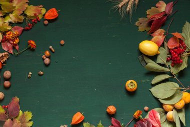 Sonbahar kırmızı ve sarı arka plan meyve somun sonbahar yaprakları