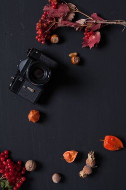 Eski kamera üzerinde tablo kırmızı ve sarı sonbahar yaprakları