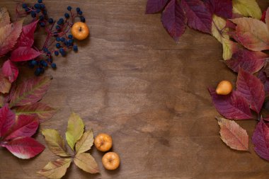 Kırmızı ve sarı yaprakları sonbahar ahşap arka plan