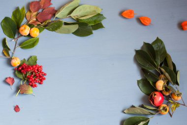 Sonbahar yaprakları ve gri arka plan üzerinde meyve çilek Trabzon hurması