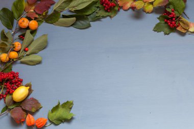 Sonbahar yaprak ve meyve çilek kahvaltı Trabzon hurması