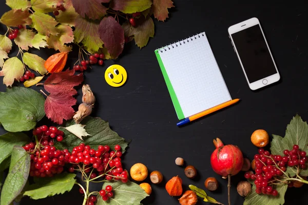 autumn fruit leaves notebook entries on the phone