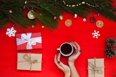 Bayan Noel yılbaşı ağacı tatil tatiller arka plan eller