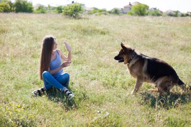 güzel kadın bir Alman çoban köpek arkadaş okulları