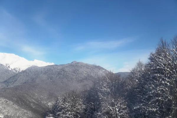 Neige snowboard skieurs domaine skiable montagne paysage — Photo