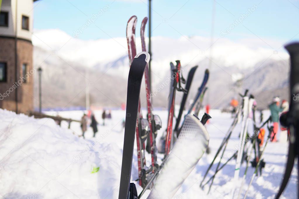 Alpine skis and Snowboards at snow ski resort vacation travel