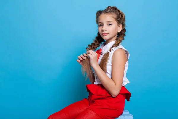 Portrait of beautiful girls with braids on a blue background — Stok Foto