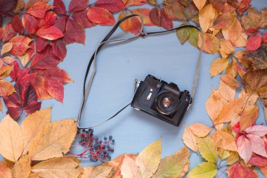 ahşap arka plan üzerinde renkli yaprakları kamera ile