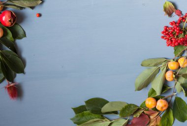 meyve ve yaprakları kahvaltı bir arka plan üzerinde dekor