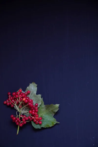 Decor from fruits and leaves on a background of breakfast — Stock Photo, Image